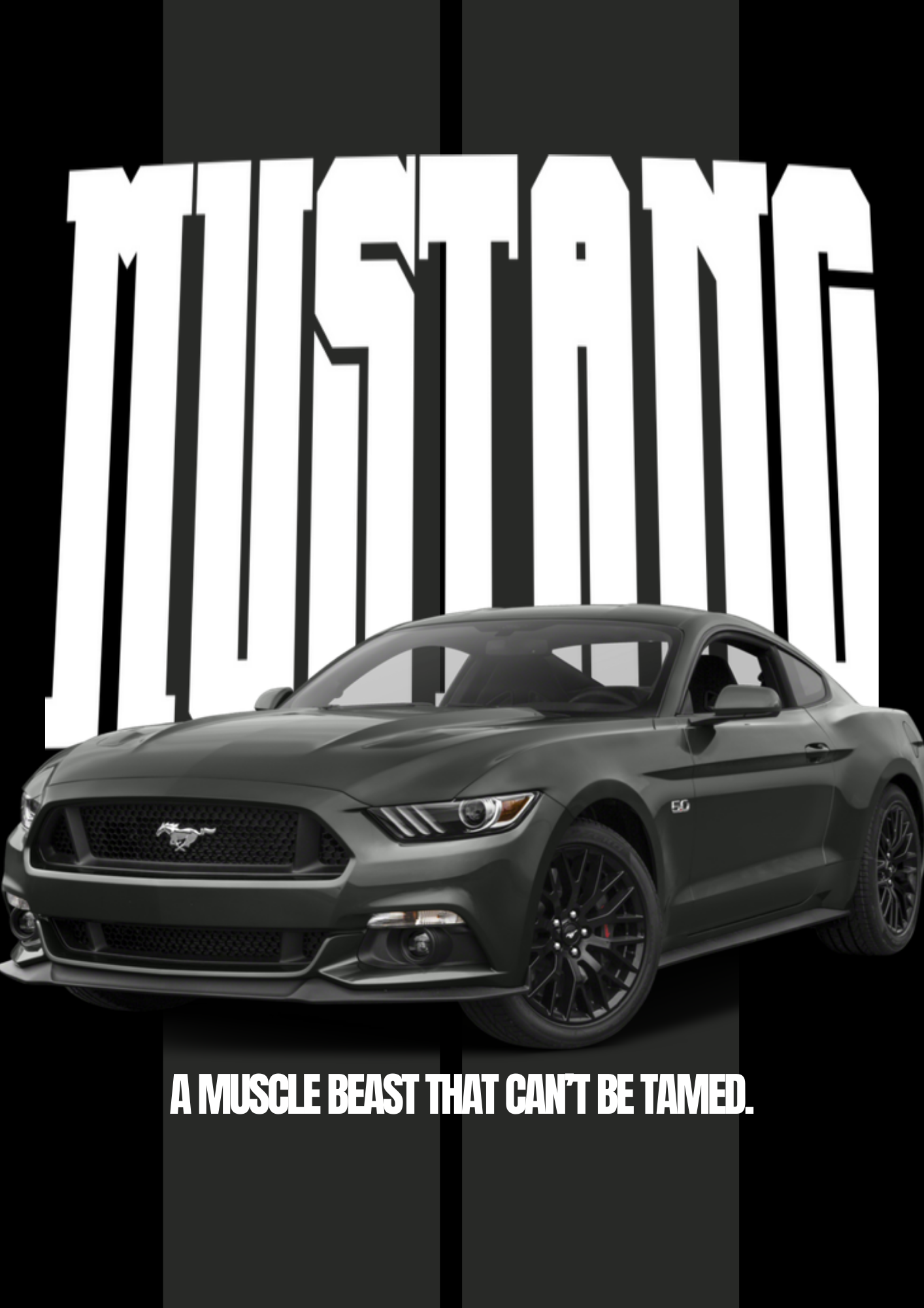 Mustang GT(2)