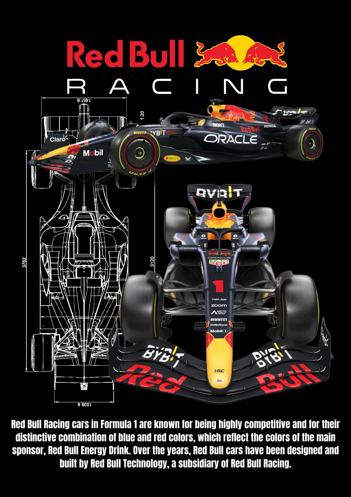 Redbull Racing F1